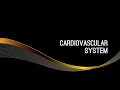 6 - Cardiovascular System