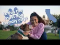 MOST DOG FRIENDLY CITY Why Ventura California is a great place to live with your dog