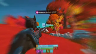 How a HACKER made a 63 KILL WIN ft Fortnite Tracker Stats