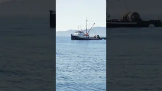 Ocean swell is hard to estimate and even harder to capture on film. How big are these waves?