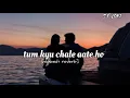 Download Lagu tum kyu chale aate ho [slowed+reverb]
