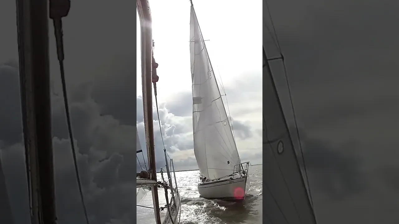 Fun Racing on Galveston Bay #shorts #sailing