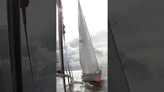 Fun Racing on Galveston Bay #shorts #sailing