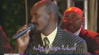 عصام محمد نور الطير المهاجر روعة 