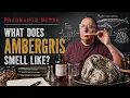 Ambergris What Does It Actually Smell Like Real vs Synthetic