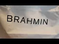 Unboxing Brahmin Tabitha in Daybreak