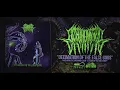 REGURGITATED DIVINITY - DECIMATION OF THE FALSE GODS [SINGLE] (2019) SW EXCLUSIVE