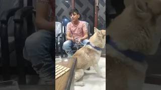 من اجمل الاصوات يوسف العجي دندنها