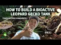 How to set up a bioactive Leopard Gecko terrarium 2025 UPDATED