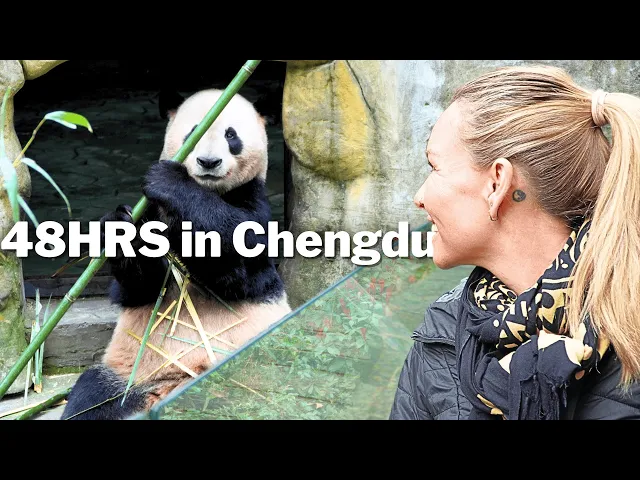 We Finally Saw PANDAS in China! Amazing 48 Hours in CHENGDU 🇨🇳