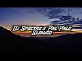 Download Lagu DJ Spectre x Pal Pale Pale Slowed ( DJ Lloyd Drop Remix )
