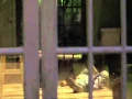 Last Days Movie - Kurt Cobain Death