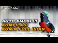 Download Lagu TEMBAKAN KOMPILASI KONIN GACOR FULL ISIAN COCOK BUAT PANCINGAN KOLIBRI NINJA BAHAN IJOAN-METALIK