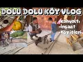 Download Lagu Kangallar Karşısında Ne Yapacağını Şaşırdı !! Hakan’ın Kangallarımızla İlk Tanışması Köy Hayatı VLOG