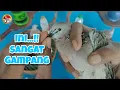 Download Lagu INI SANGAT GAMPANG!! SIAPAPUN PASTI LANGSUNG AHLI \