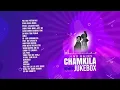 Download Lagu Chamkila Nonstop Jukebox | Jind Bains Remix | New Punjabi Song | Evergreen Hits Old Songs 2024