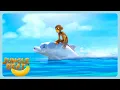 Download Lagu Jungle Beat: Munki \u0026 Trunk - Wild Island Adventures | WildBrain Zoo | Kids Cartoon 2025