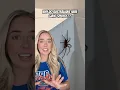 Australians love their pet spiders