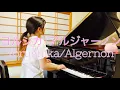 Download Lagu ヨルシカ/アルジャーノン; Yorushika/Algernon #耳コピ #ピアノアレンジ #algernon