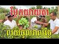 Download Lagu ប្លែកយាយតា លុយចូលរាល់ថ្ងៃ ចេះរកនឹកដាំមានទីផ្សារល្អ