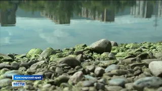 В Енисее уровень воды упал до рекордно низких отметок