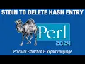 Efficient Perl Programming Deleting Hash Elements Using STDIN 2024