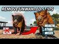 REMOVE STATS by BREEDING Ark Survival Ascended How to Guide