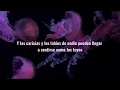 Lo que siento - Cuco (Sub español)