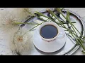Download Lagu ☕Cafea din rădăcină de Barba caprei| Everything for everyone