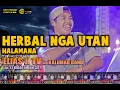 Download Lagu HERBAL NGA UTAN BY HALAMANA COVER BY ELIAS J TV