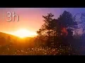 Download Lagu Calm Music - light, peaceful, soothing, background music [N°134 - 3h]