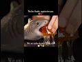 Niche Honey Shark 🦈✌️ #meme #memes #trending #relatable #fyp #ai #aiart #honey #shark