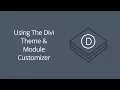 Using The Divi Theme Module Customizer