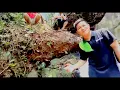 Download Lagu Sayang