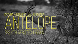 kaysha x boddhi satva x h baraka antelope breyth afrotech remix
