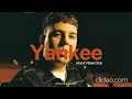 Yankee - Quevedo 2023