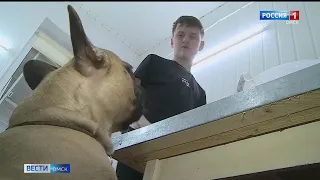 13-летний омич запустил производство по изготовлению корма для собак