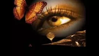 ياعينى علينا طارق الشيخ 