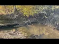 KY Land For Sale