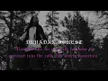Download Lagu DRUADAN FOREST \