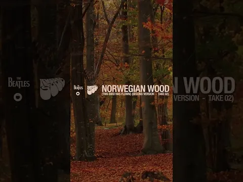 A different sitar opening for “Norwegian Wood (This Bird Has Flown)” #TheBeatles #NorwegianWood