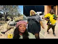 Download Lagu Dear Makhi The Sswapha Queen Can You Please Stop Before Its Too Late