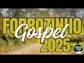 Download Lagu SELEÇÃO - FORROZINHO GOSPEL 2025 - AS MAIS TOCADAS - SÓ AS TOPS