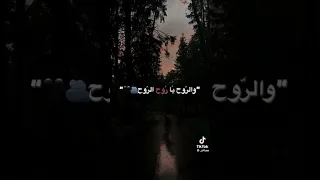 العين يا نور العين بطيء  العين يا نور العين بطيء
