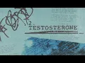 Nothing But Thieves - Testosterone (Official Audio)