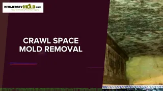 Crawl Space Mold Removal In Manahwakin NJ 609-557-3209 NewJerseyMold com
