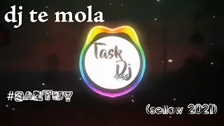 dj te molla