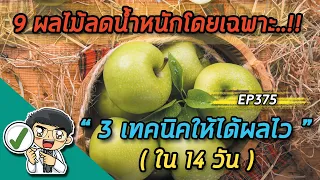 เทคนิคการกินผลไม้ให้ได้ผลดีที่สุดในการลดน้ำหนักคืออะไร