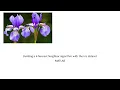 Building a k-Nearest Neighbor algorithm with the Iris dataset MATLAB