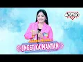 Download Lagu INGET KA MANTAN - Icha Kiswara ft Ageng Music (Official Live Music)